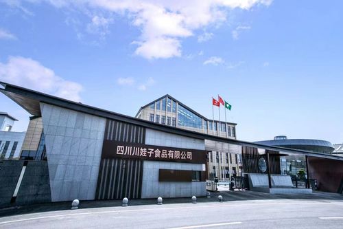 聚焦明星工廠 百位行業代表齊聚川娃子，共話食品智造新未來